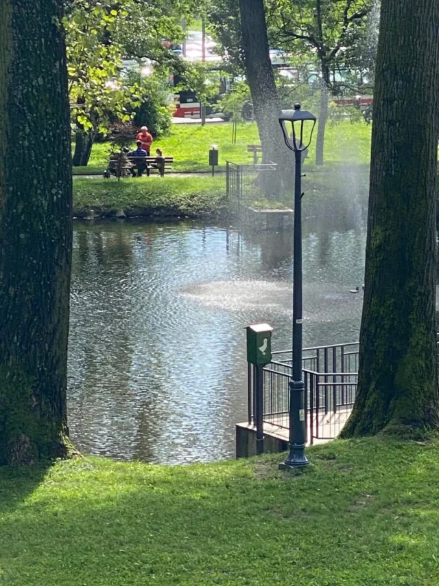 Agra Słupy Oświetleniowe Park w Wodzisławiu